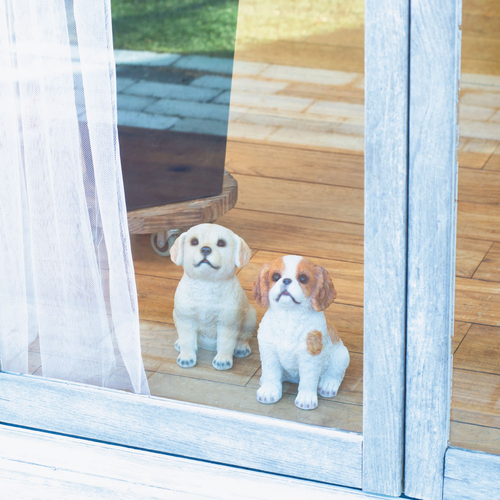 目が合うわんこ ガーデン 置物 G03522