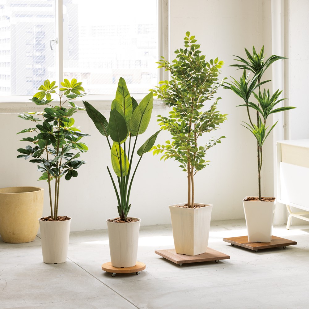 送料無料　フラワーディスプレイ　プランタースタンド　オーク無垢材　観葉植物　花台 dショッピング |キャスター付きプランターベース ホワイトオーク 角