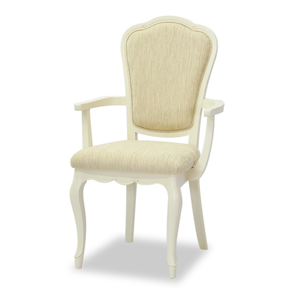 エレガントクラシック アームチェア 張地D アームチェア 椅子 チェア H72380