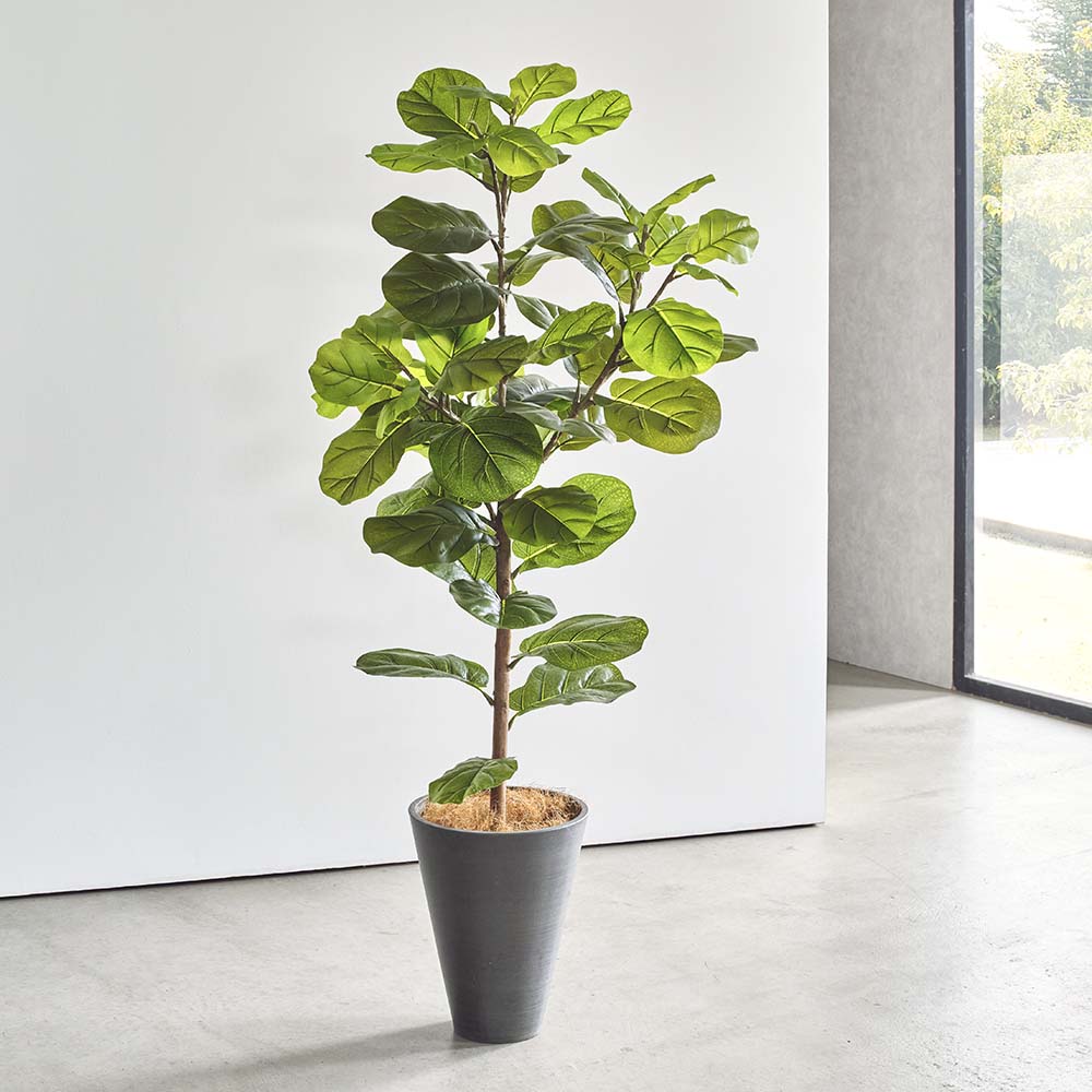 インテリアグリーン カシワバゴム フェイク インテリアグリーン 人工観葉植物 造花 H80410