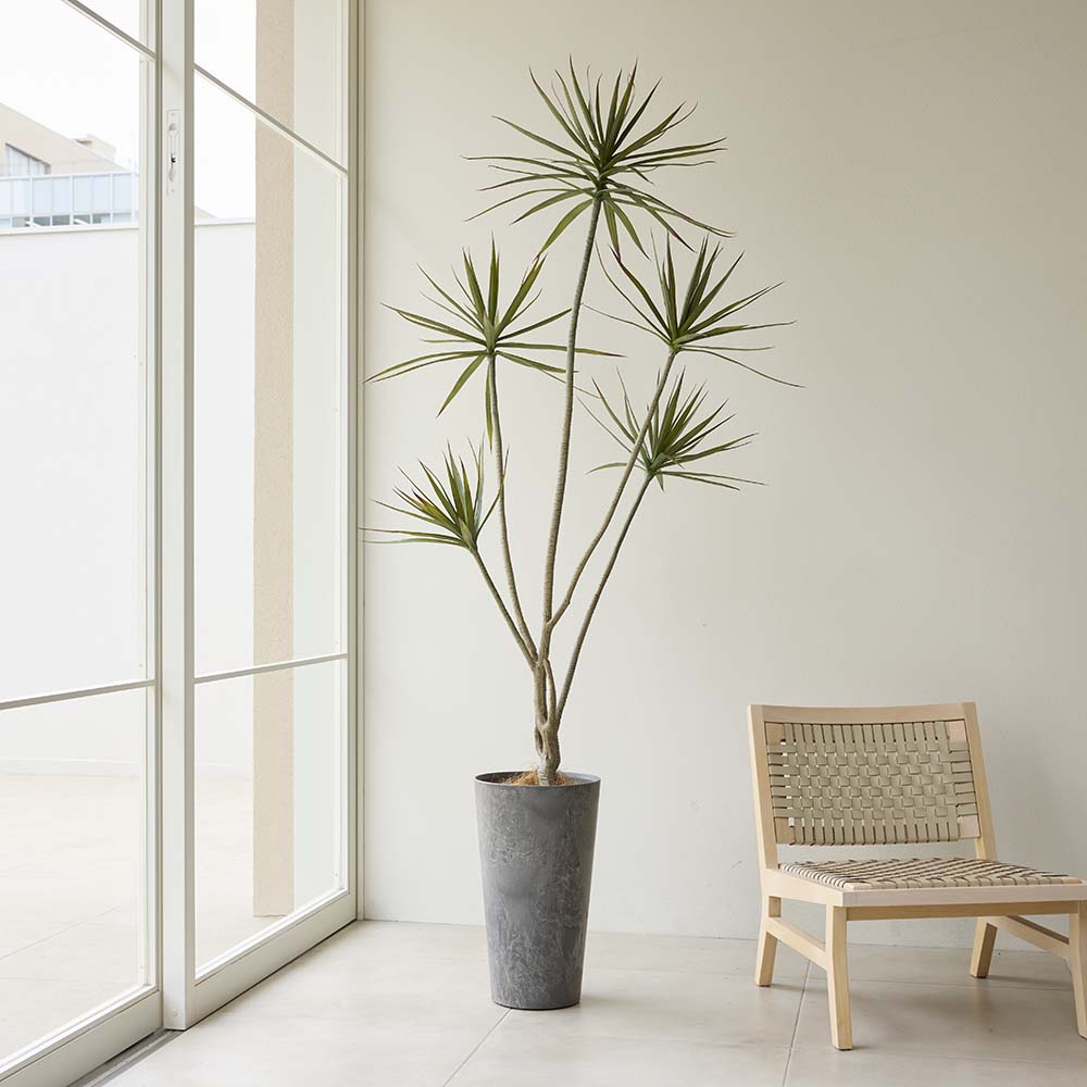 インテリアグリーン ドラセナ フェイク インテリアグリーン 人工観葉植物 造花 H80411