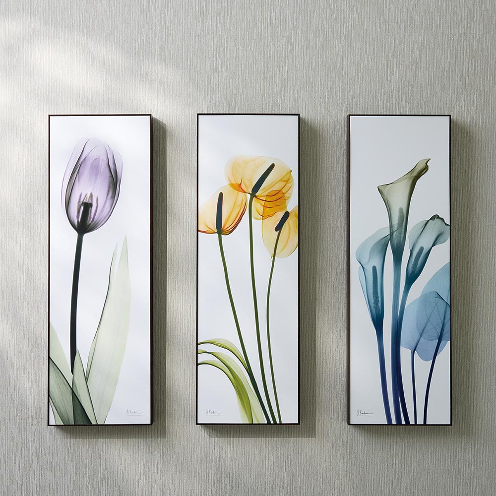 X-RAY/エックスレイ アートフレーム 30cm×90cm 通販 - ディノス