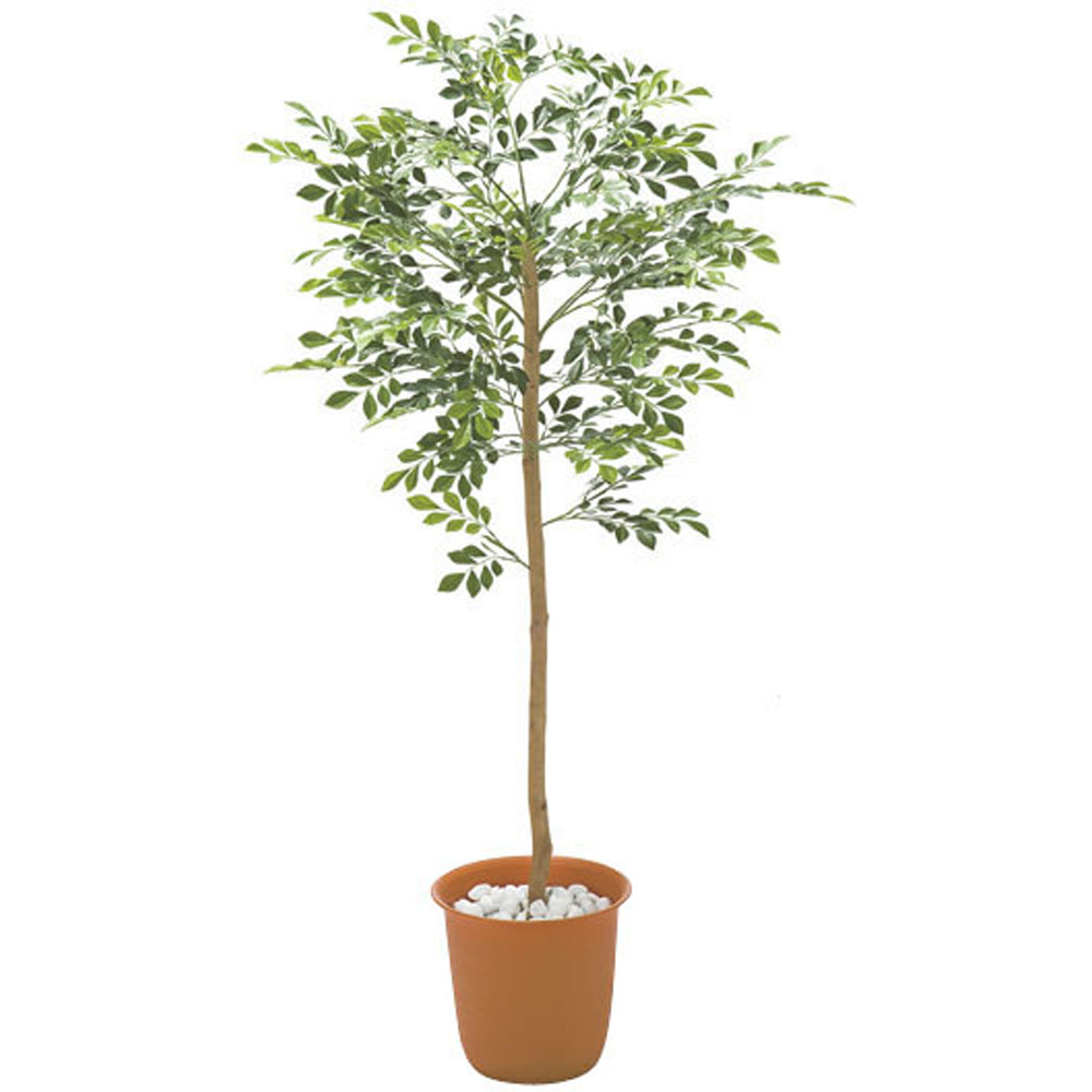 ≪高さ150cm≫ 人工観葉植物シマトネリコ１鉢 フェイク インテリアグリーン 人工観葉植物 造花 H01107