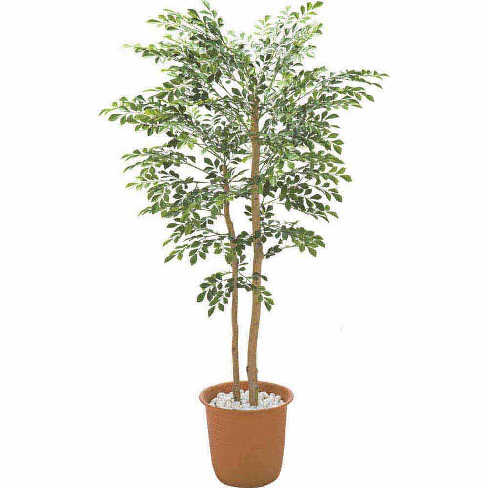 ≪高さ160cm≫ 人工観葉植物シマトネリコ１鉢 フェイク インテリアグリーン 人工観葉植物 造花 H01108