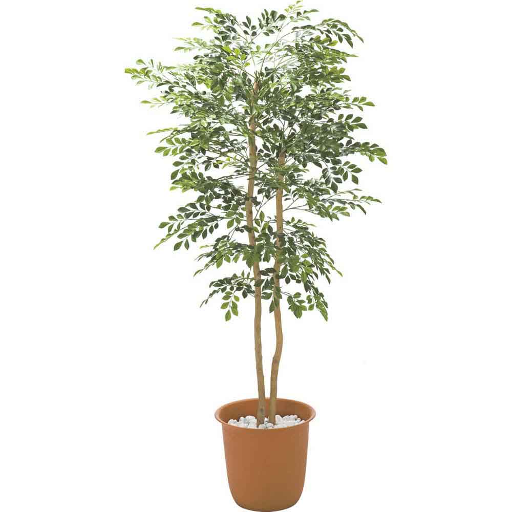≪高さ180cm≫ 人工観葉植物シマトネリコ１鉢 フェイク インテリアグリーン 人工観葉植物 造花 H01109