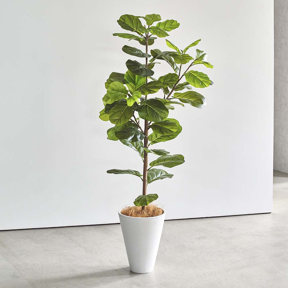 インテリアグリーン カシワバゴム フェイク インテリアグリーン 人工観葉植物 造花 H02211