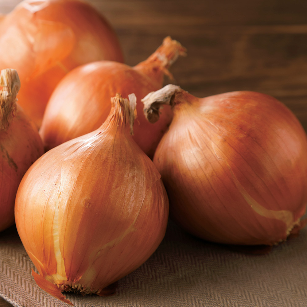 兵庫県淡路島産 玉ねぎ 約10kg 通販 ディノス