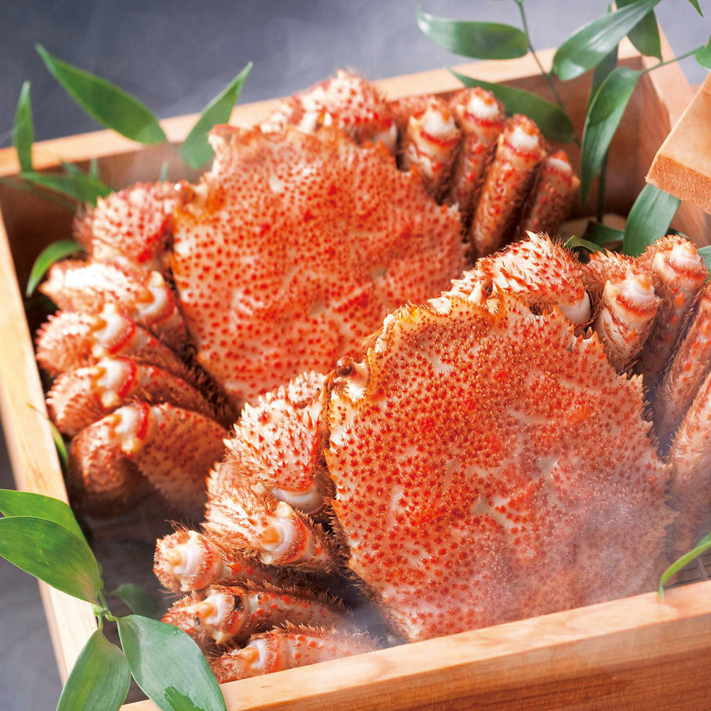 北海道産 蒸し活毛がに 大（500g）×1ハイ 【通常お届け】 魚 海産 生鮮品 海産物 FK0042