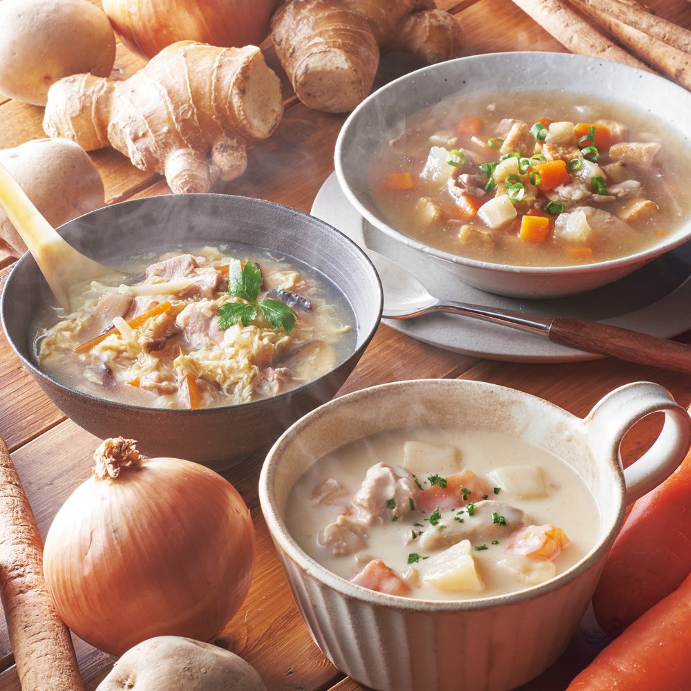 DELICA ごろごろ野菜とたんぱくのスープ 3種×各3袋 ウェルネスフーズ FK0321