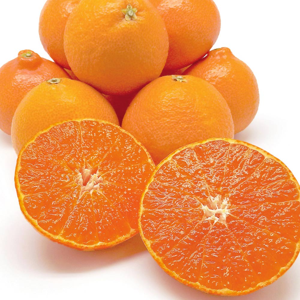 【12月お届け】 愛媛産 「紅まどんな」 2kg フルーツ 野菜 果物 FK0716