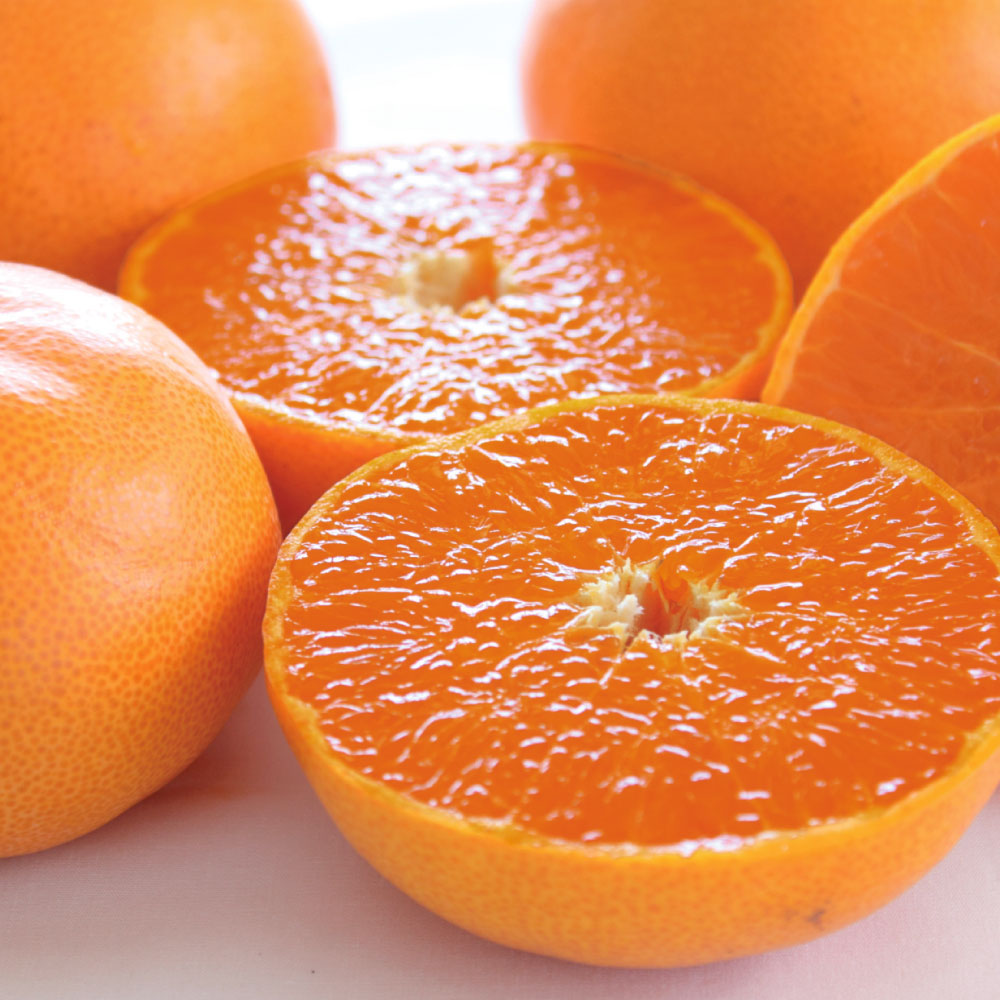 【2月お届け】 愛媛産「せとか」 2.5kg フルーツ 野菜 果物 FK0718