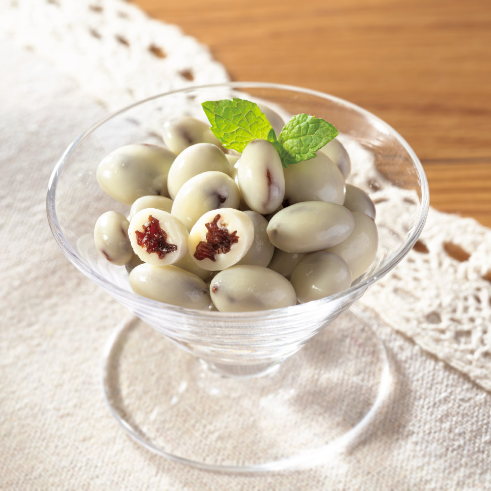 「TON’S」ヨーグルトレーズン【1日分の鉄&葉酸】 100袋 ウェルネスフーズ FK1128