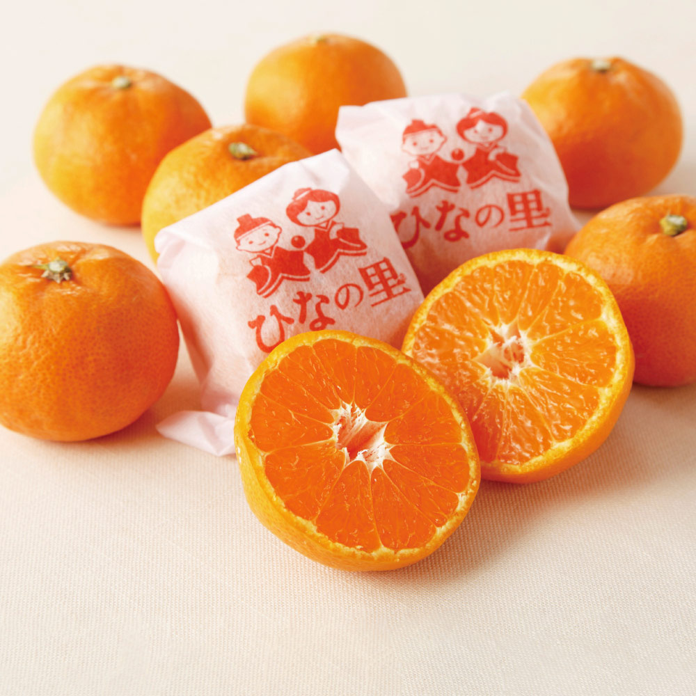 愛媛真穴(まあな)産 越冬屋根掛け樹上完熟みかん 「ひなの里」 2.5kg フルーツ 野菜 果物 FK1503