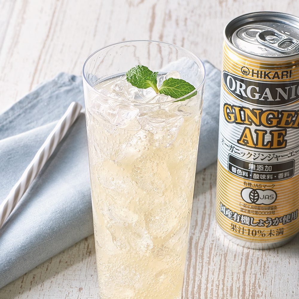 オーガニックジンジャーエール （250ml×30缶） ウェルネスフーズ FJ0044