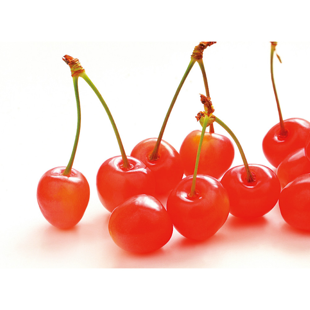 山形産 ハウスさくらんぼ（品種おまかせ） 300g<br />【5月中旬頃-お届け】 フルーツ 野菜 果物 FJ0111