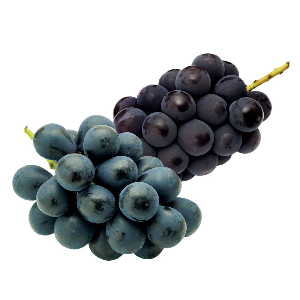 種なしぶどう 2種食べ比べセット 計900g（ナガノパープル・巨峰）<br />【7月上旬頃-お届け】 フルーツ 野菜 果物 FJ0113