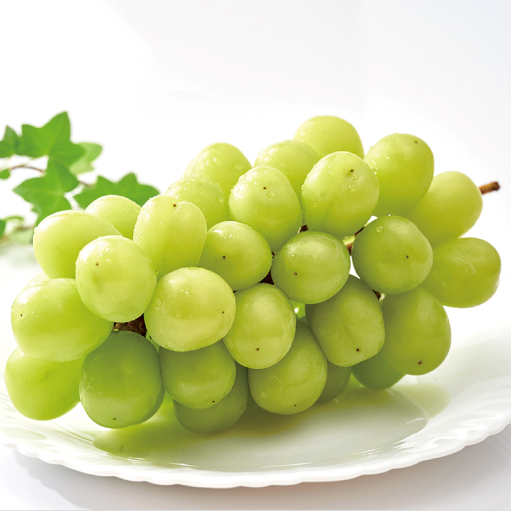 岡山・船穂産 シャインマスカット 「晴王」 1房（600g）<br />【8月中旬頃-お届け】 フルーツ 野菜 果物 FJ0114