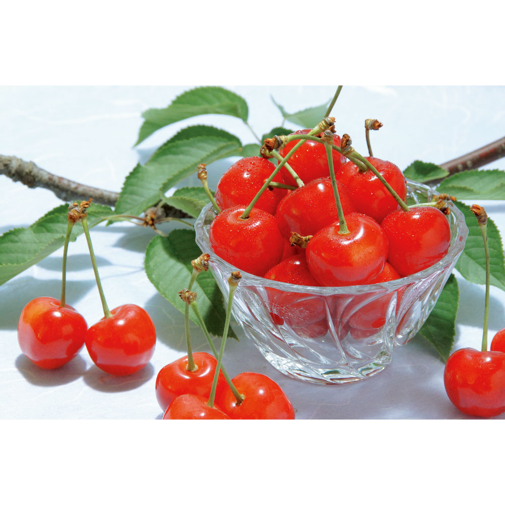 山形産 「佐藤錦」 200g×3<br />【6月上旬頃-お届け】 フルーツ 野菜 果物 FJ0117