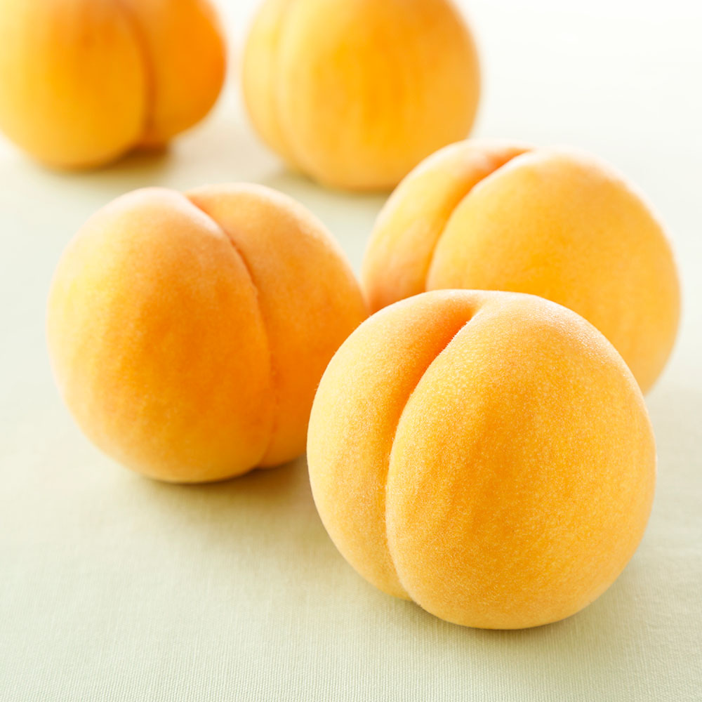 山梨産 古屋さんの「黄金桃」 1.8kg <br />【7下旬頃-お届け】 フルーツ 野菜 果物 FJ0118