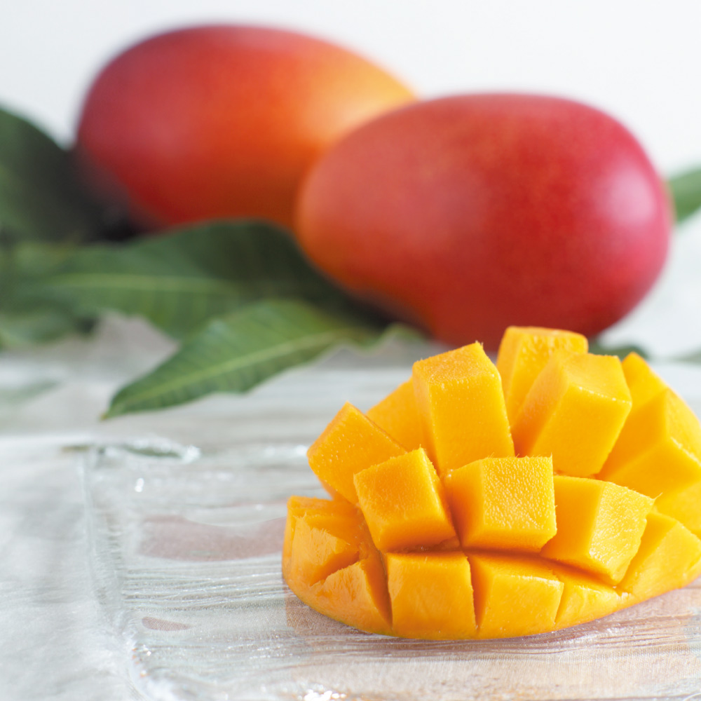 宮崎産「太陽のタマゴ」 3Lサイズ×2玉（計900g） 【お中元用のし付きお届け】 フルーツ 野菜 果物 FJ0124