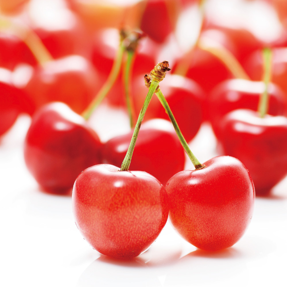 山形産 「大将錦」 500g【6月下旬頃-お届け】 フルーツ 野菜 果物 FJ0128