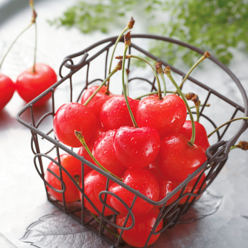 山形産「紅秀峰（べにしゅうほう）」 500g <br />【6月下旬頃-お届け】 フルーツ 野菜 果物 FJ0129