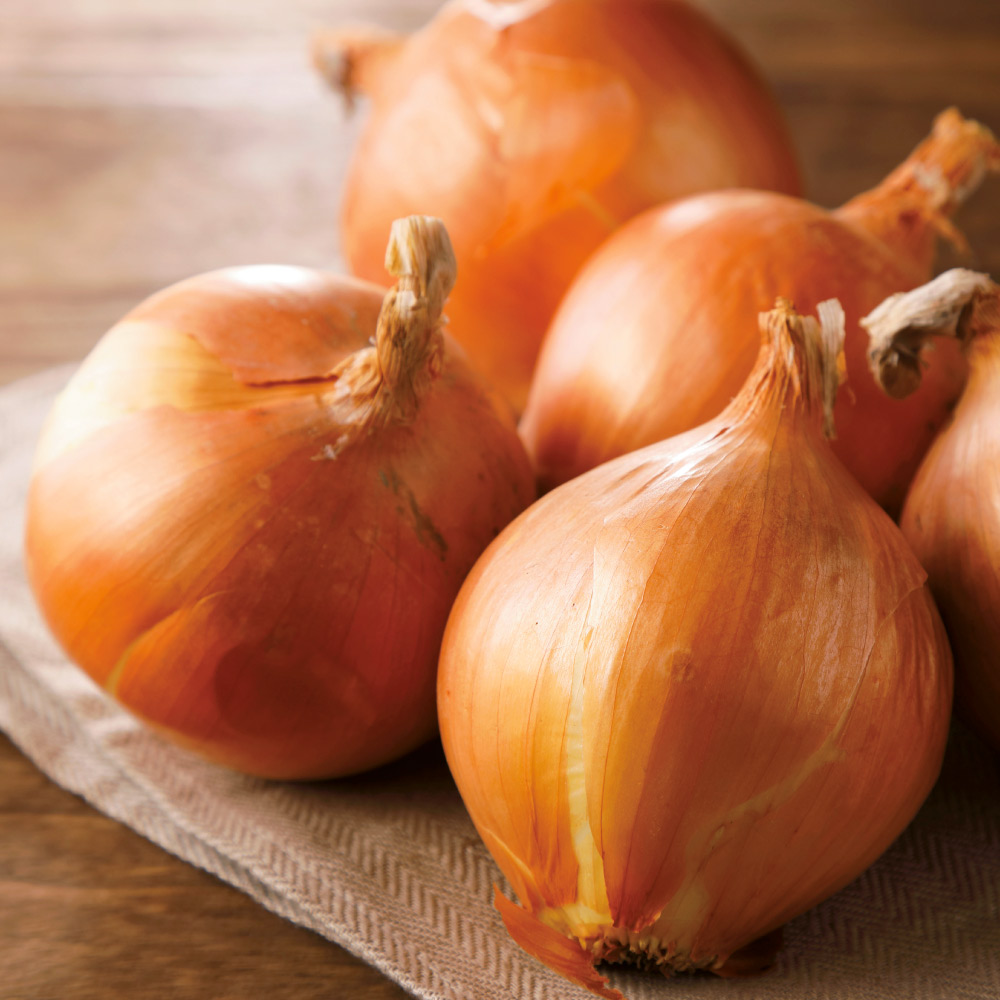兵庫・淡路島産 玉ねぎ 10kg 【7月中旬頃-お届け】 野菜 果物 FJ0146