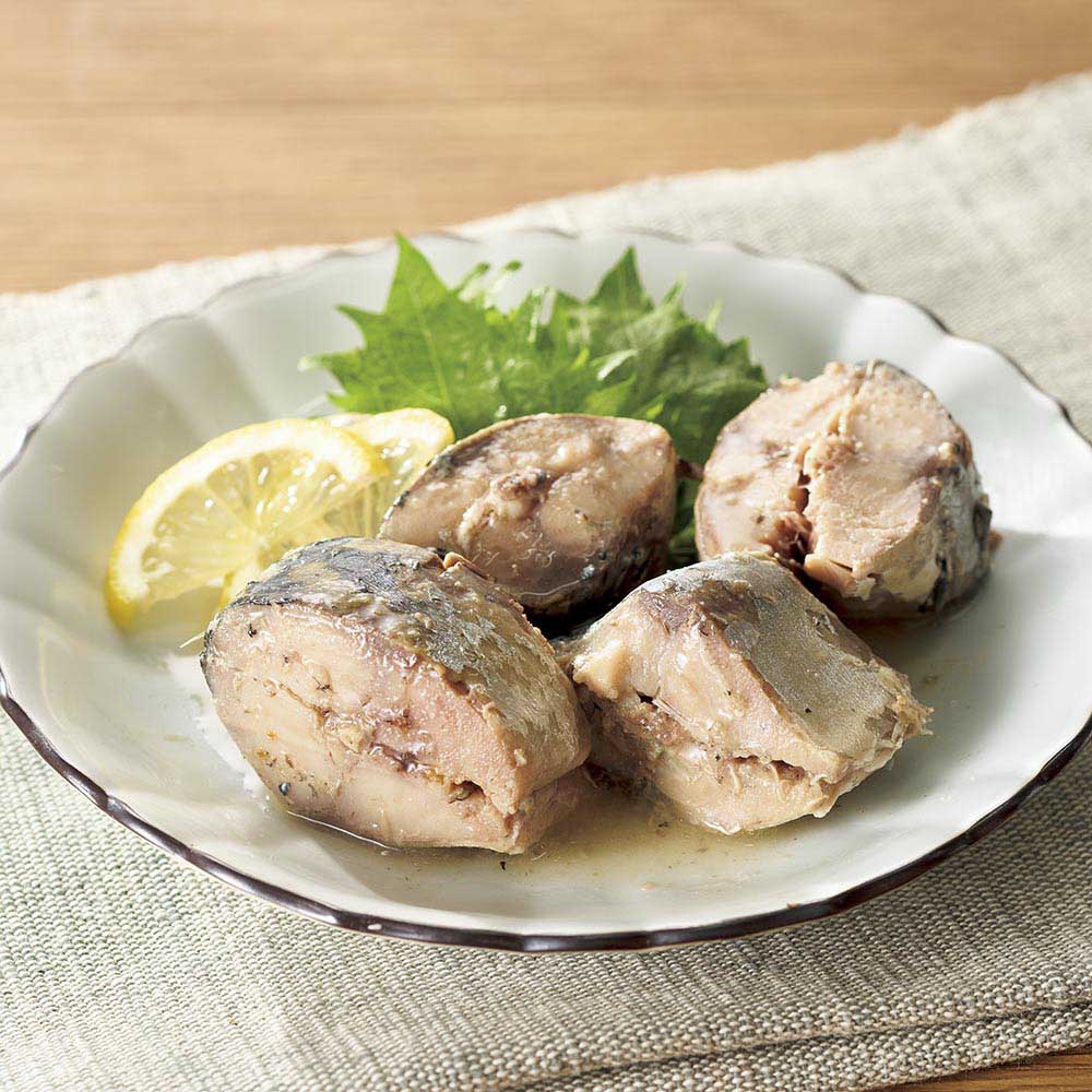 北海道 根室産 さば水煮缶 12缶 魚 海産加工品 海産物 FJ0307