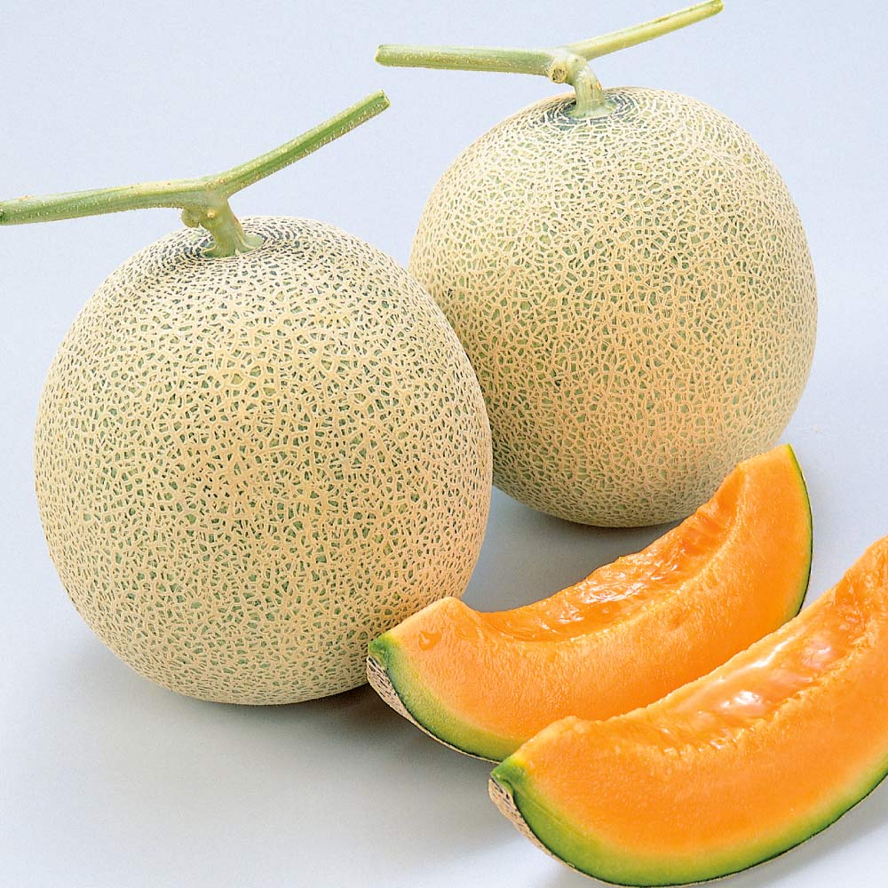 北海道産 訳あり赤肉メロン 3玉【8月上旬-9月上旬頃お届け】 フルーツ 野菜 果物 FJ0618