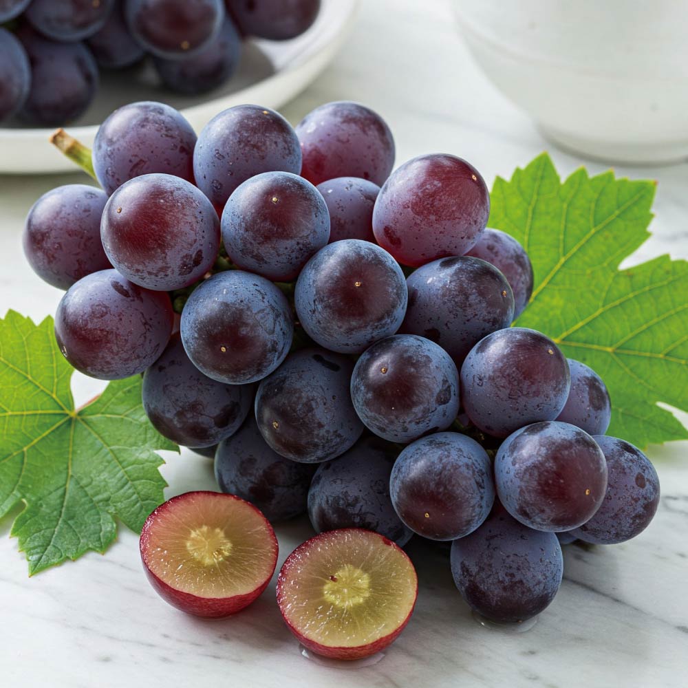 「甲斐の里グループ」 山梨産 「巨峰」 1.4kg【8月中旬頃-お届け】 フルーツ 野菜 果物 FJ0701