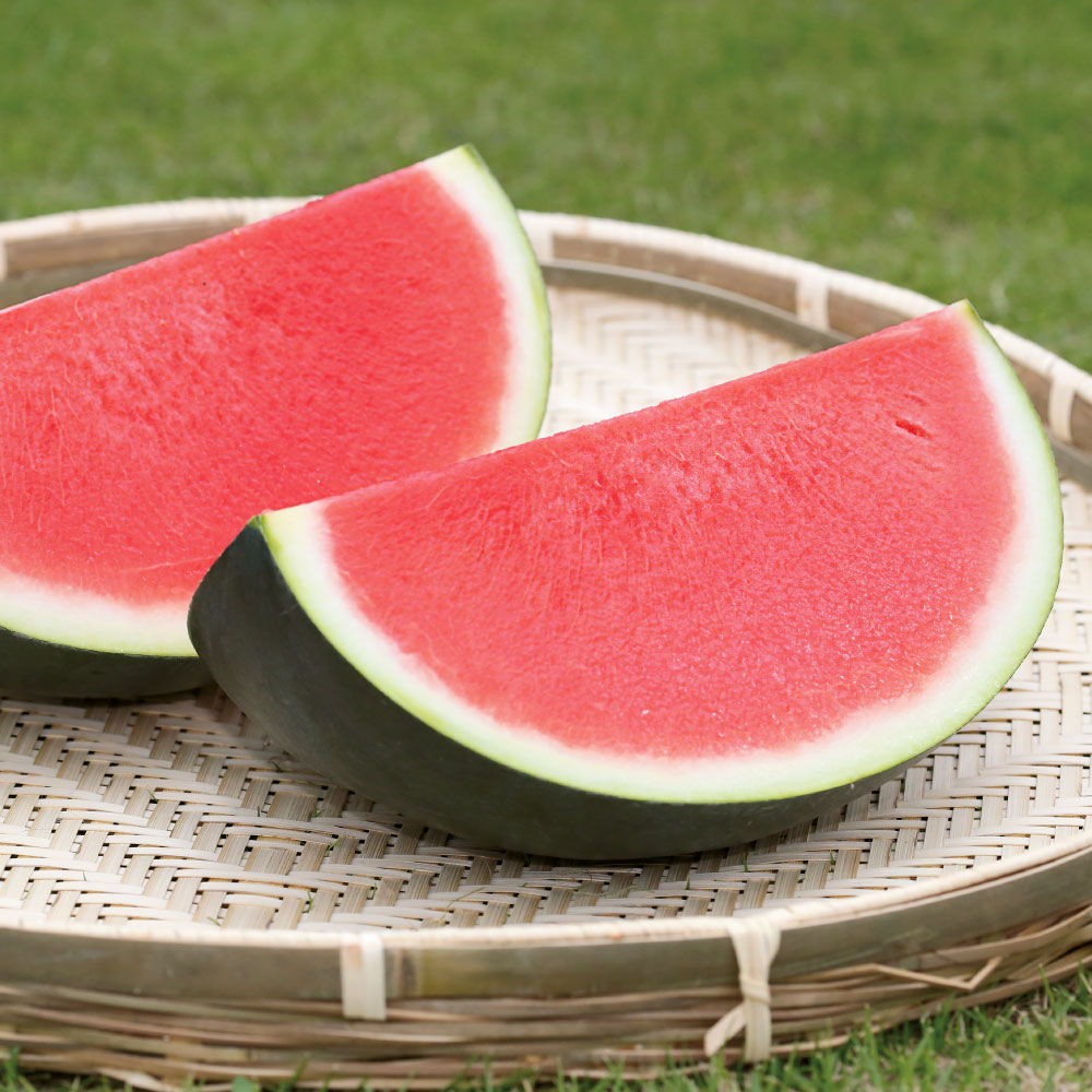 山形産「ブラックジャック」 1玉（6-8kg）<br />【7月下旬頃-お届け】 フルーツ 野菜 果物 FJ0703