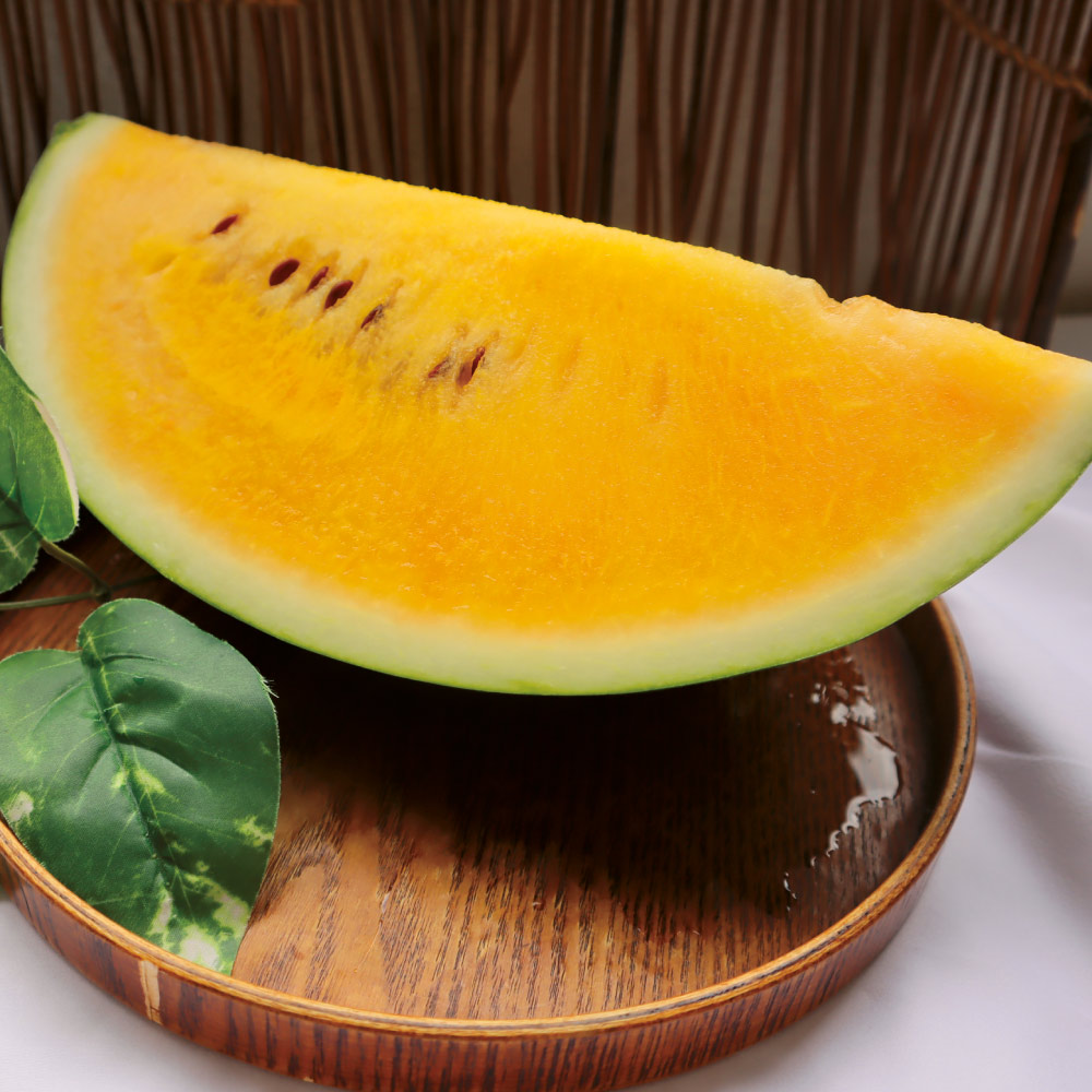 山形産「金色羅皇（こんじきらおう）」 1玉（7kg）<br />【8月上旬頃-お届け】 フルーツ 野菜 果物 FJ0704