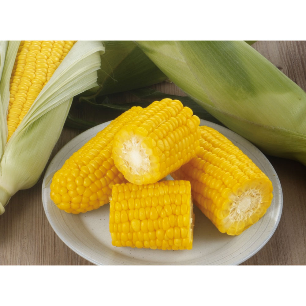 青森産 とうもろこし「嶽きみ（だけきみ）」 8-9本（2.8kg） 【9月上旬頃-お届け】 野菜 果物 FJ0715