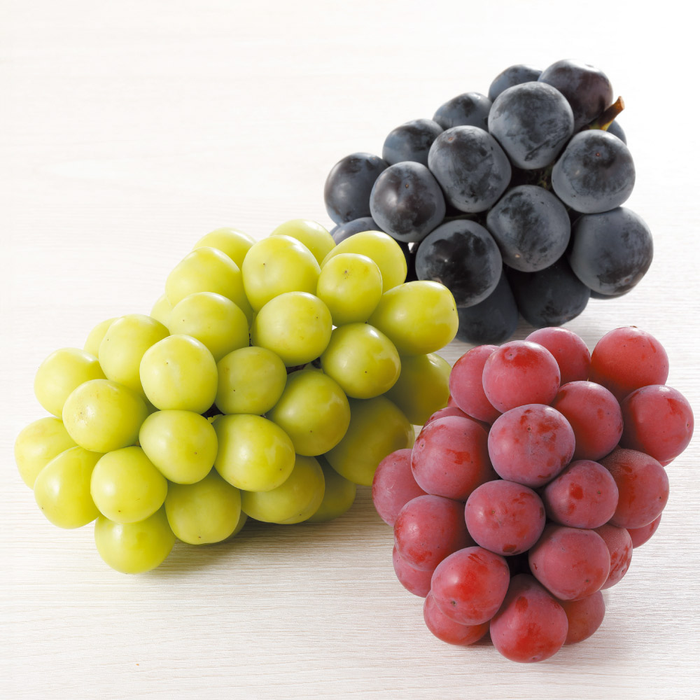 山梨産 種なしぶどう 3種食べ比べセット 計1.5kg<br />【8月下旬頃-お届け】 フルーツ 野菜 果物 FJ0719