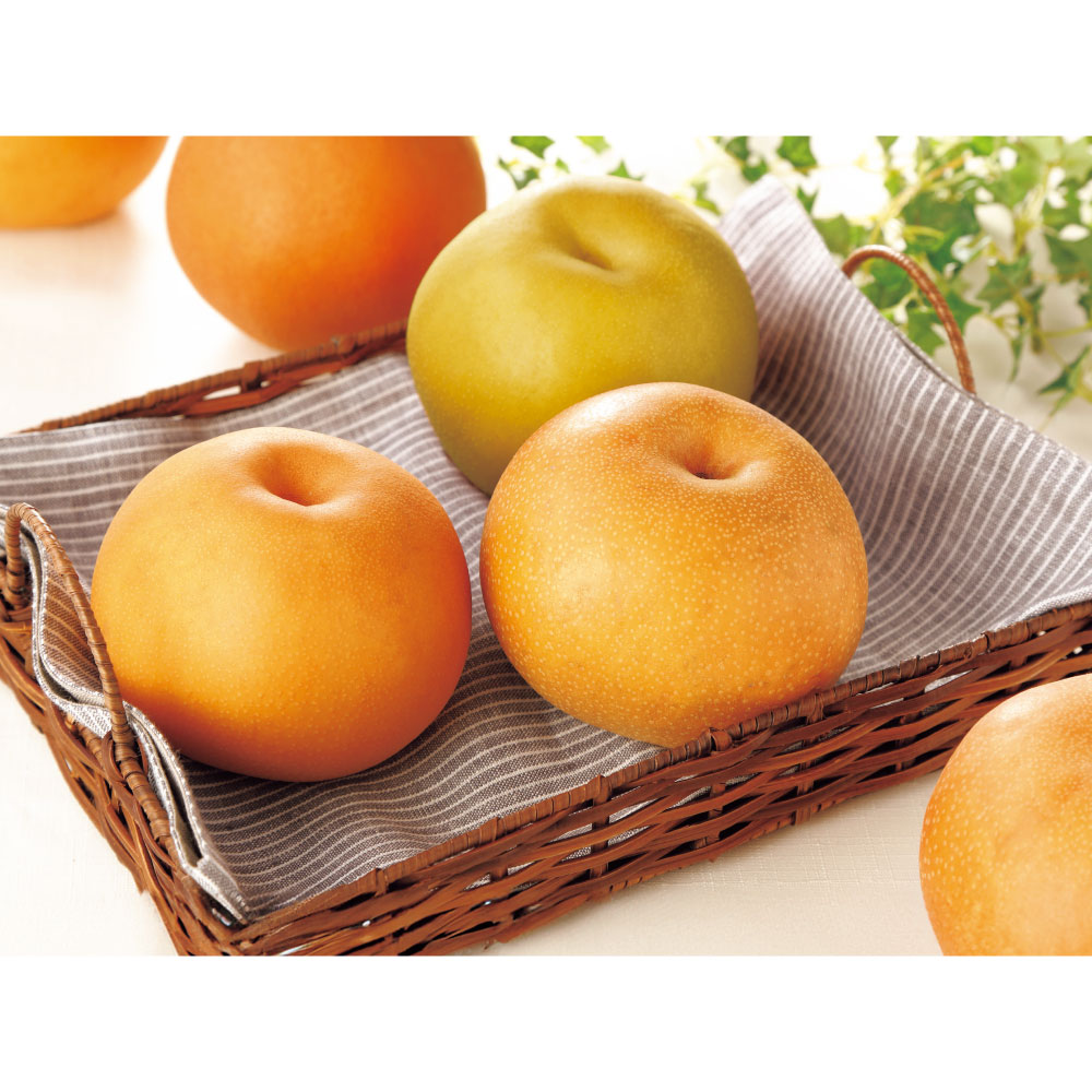 茨城産 梨 3種食べ比べセット 計2.2kg<br />【9月中旬頃-お届け】 フルーツ 野菜 果物 FJ0720