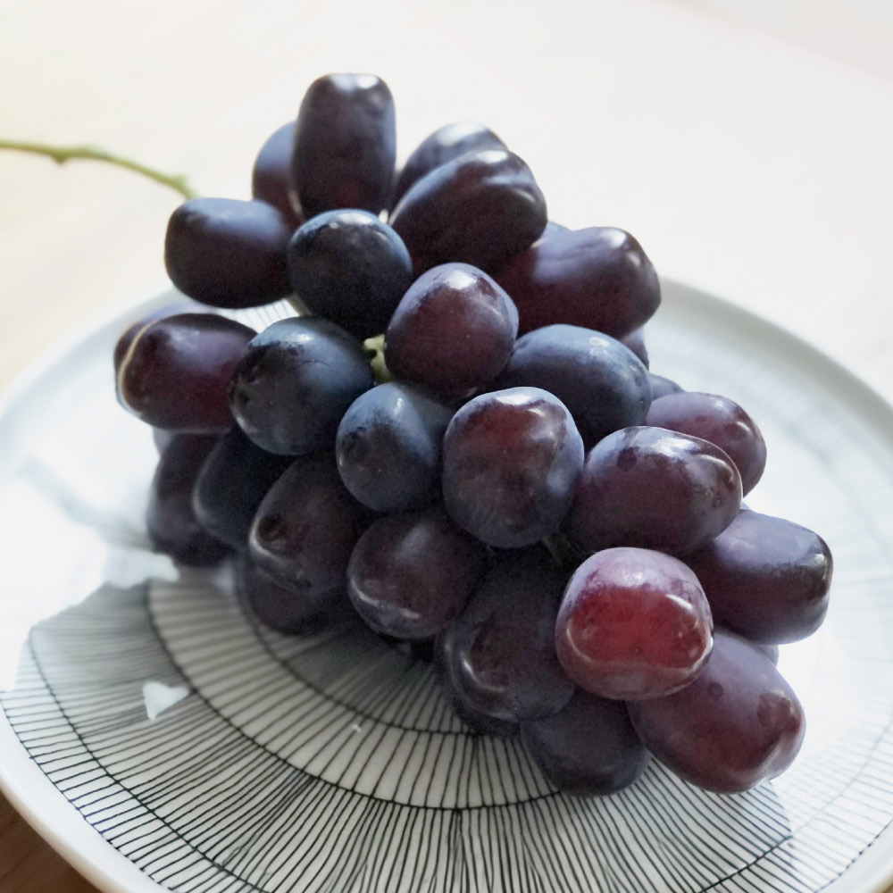 山形または山梨産 ブラックシャインマスカット「富士の輝」 1房（700g）<br />【9月下旬頃-お届け】 フルーツ 野菜 果物 FJ0721