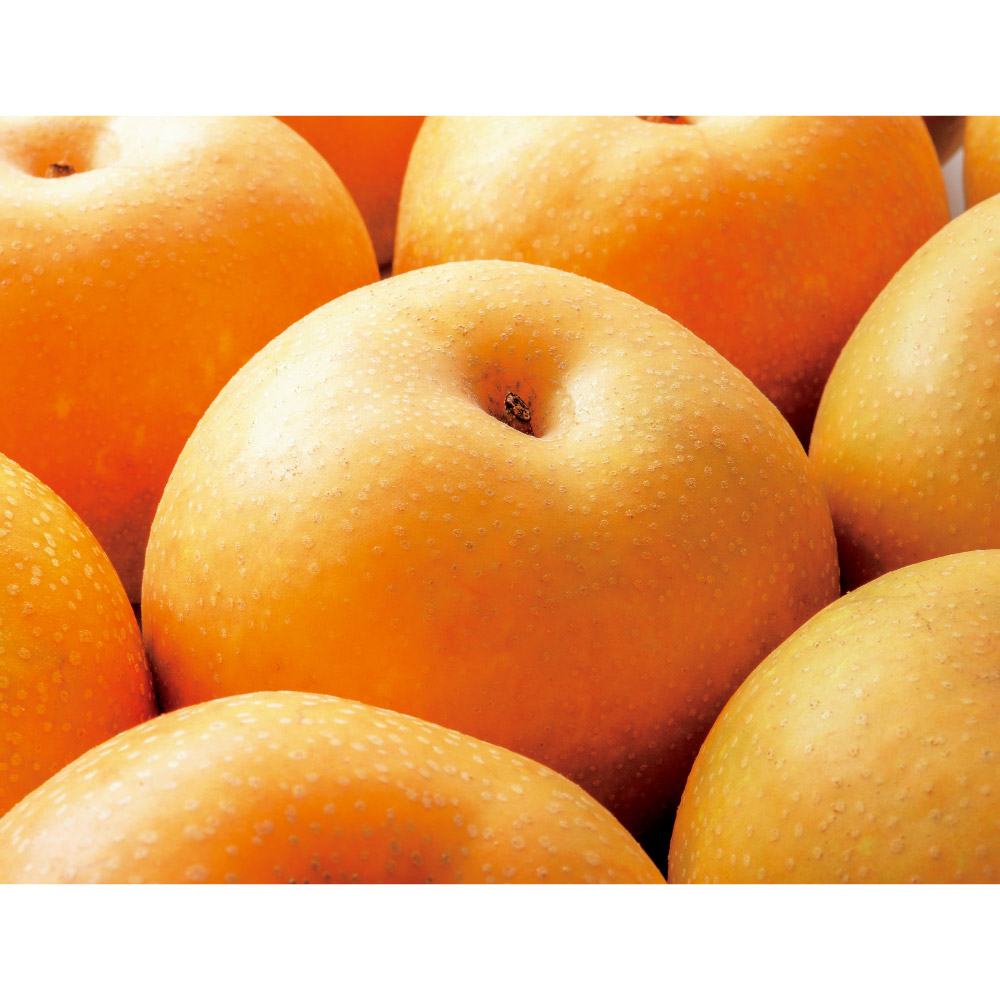 新潟産 「新美月」 2.5kg<br />【9月中旬頃-お届け】 フルーツ 野菜 果物 FJ0723