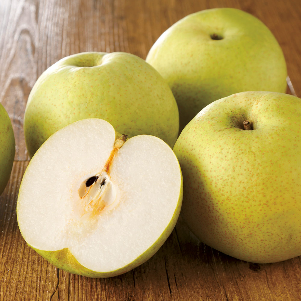 千葉産「かおり」梨 5kg【9月上旬頃-お届け】 フルーツ 野菜 果物 FJ0724