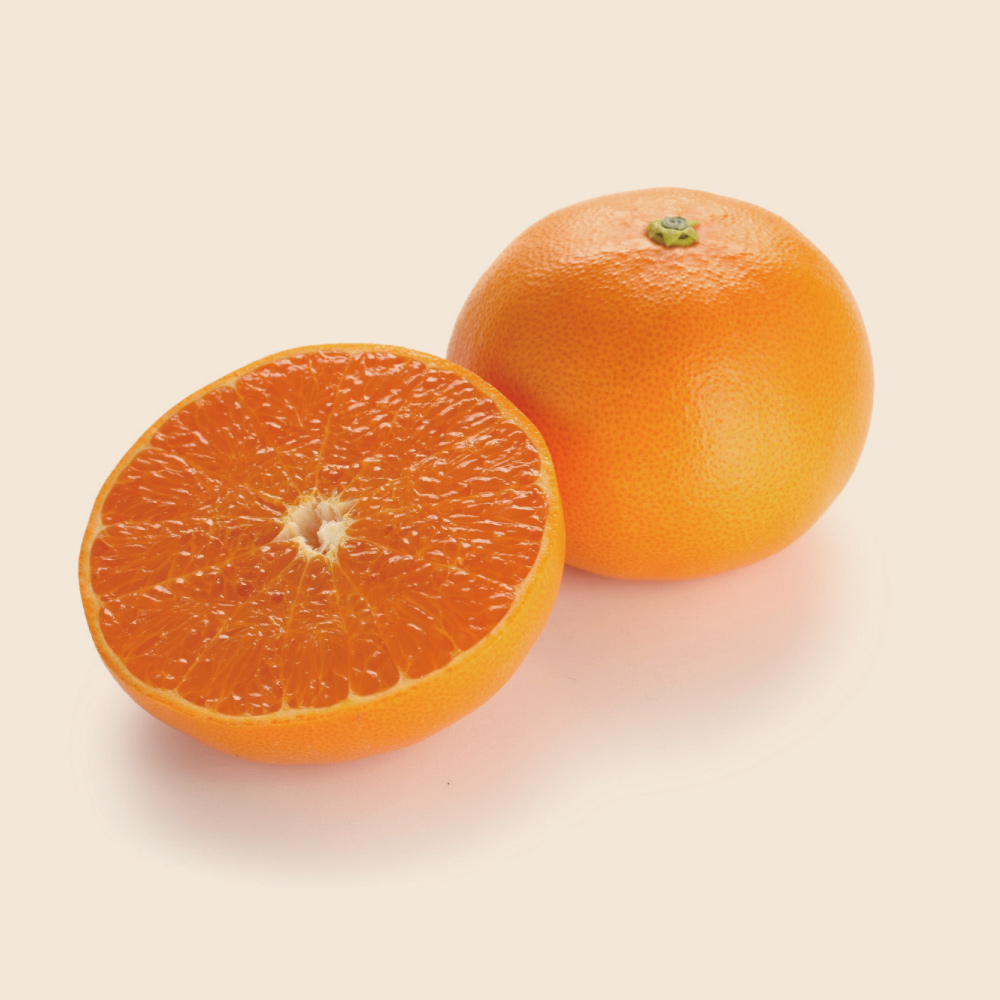 広島産 自然熟「せとか」 3kg【1月中旬頃-お届け】 フルーツ 野菜 果物 FJ2005