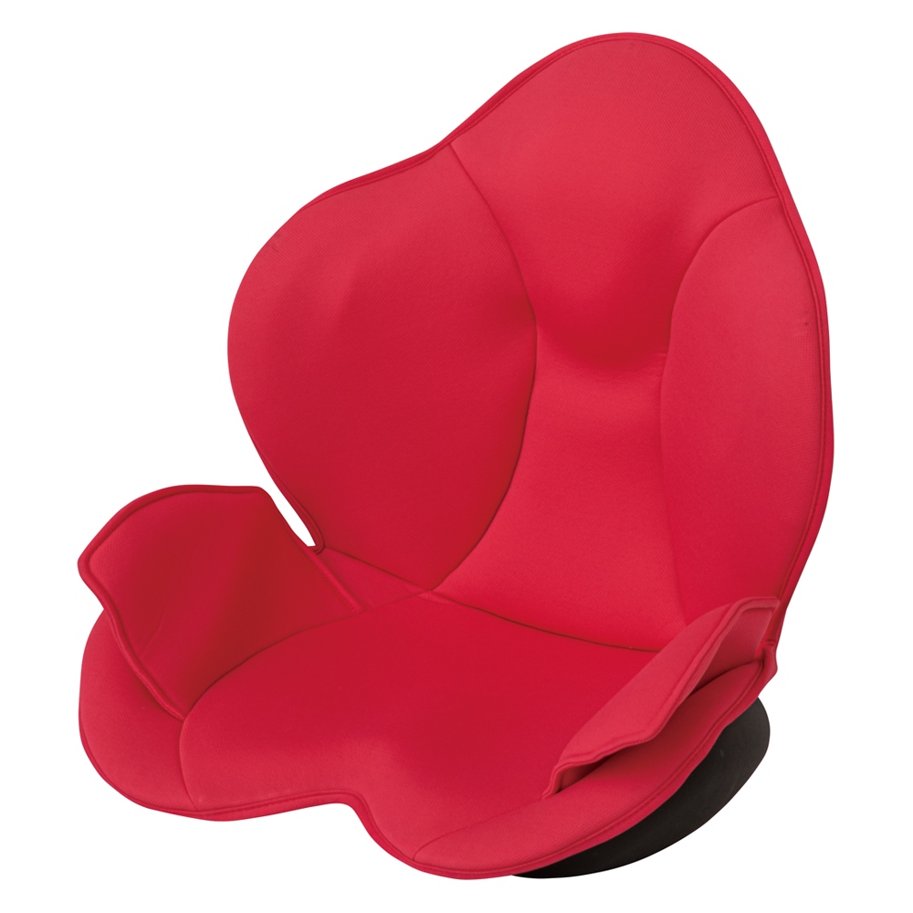 芦屋美整体 骨盤スリムスタイリーエアー 通販 ディノス