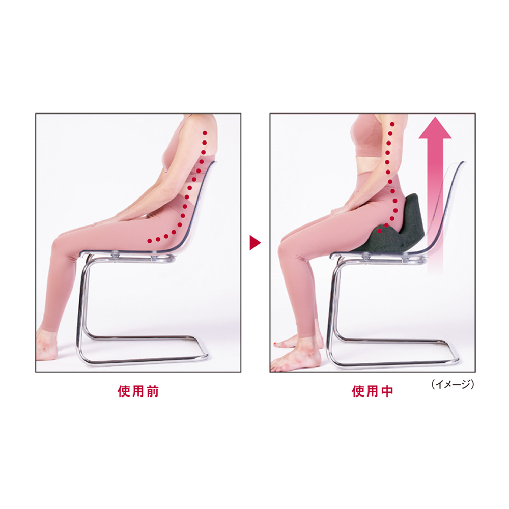 整体師が本気で考えた腰ラク骨盤シート ディノスANAmall店