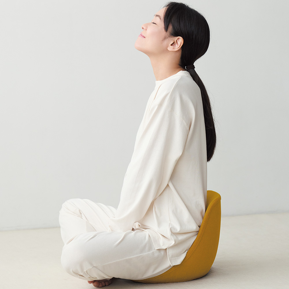 アンドメディカル　座椅子クラシートハイバック クラシート ハイバック& MEDICAL（アンド メディカル） | 公式通販