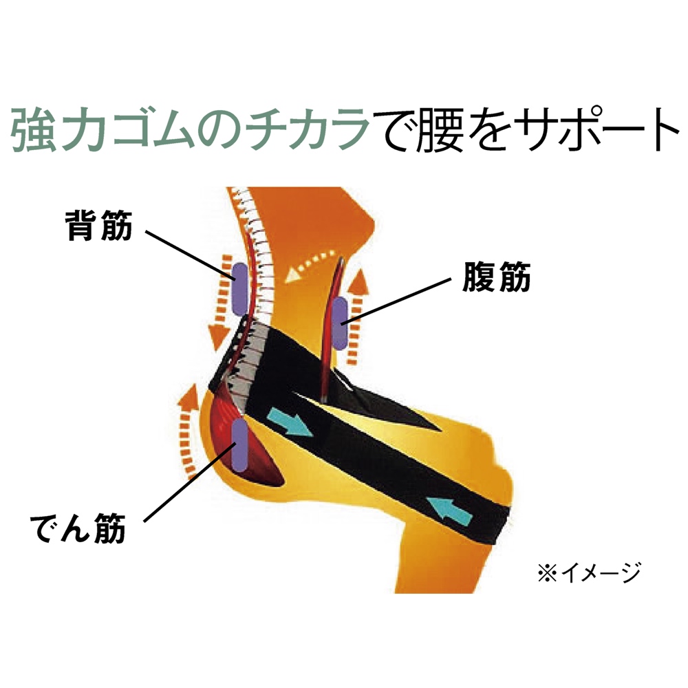 腸腰筋リラックスベルト ラクナール ディノスANAmall店