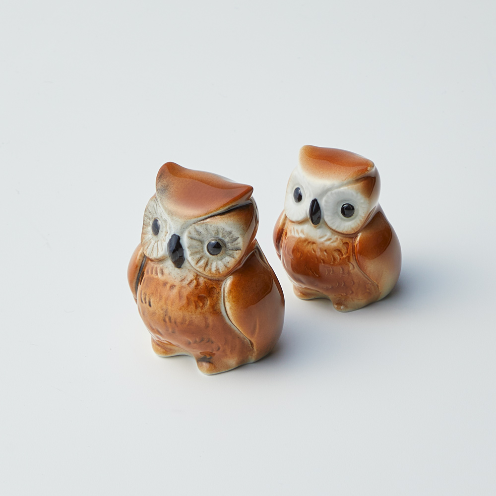 磁器の置物 フクロウの大小セット 通販 - ディノス