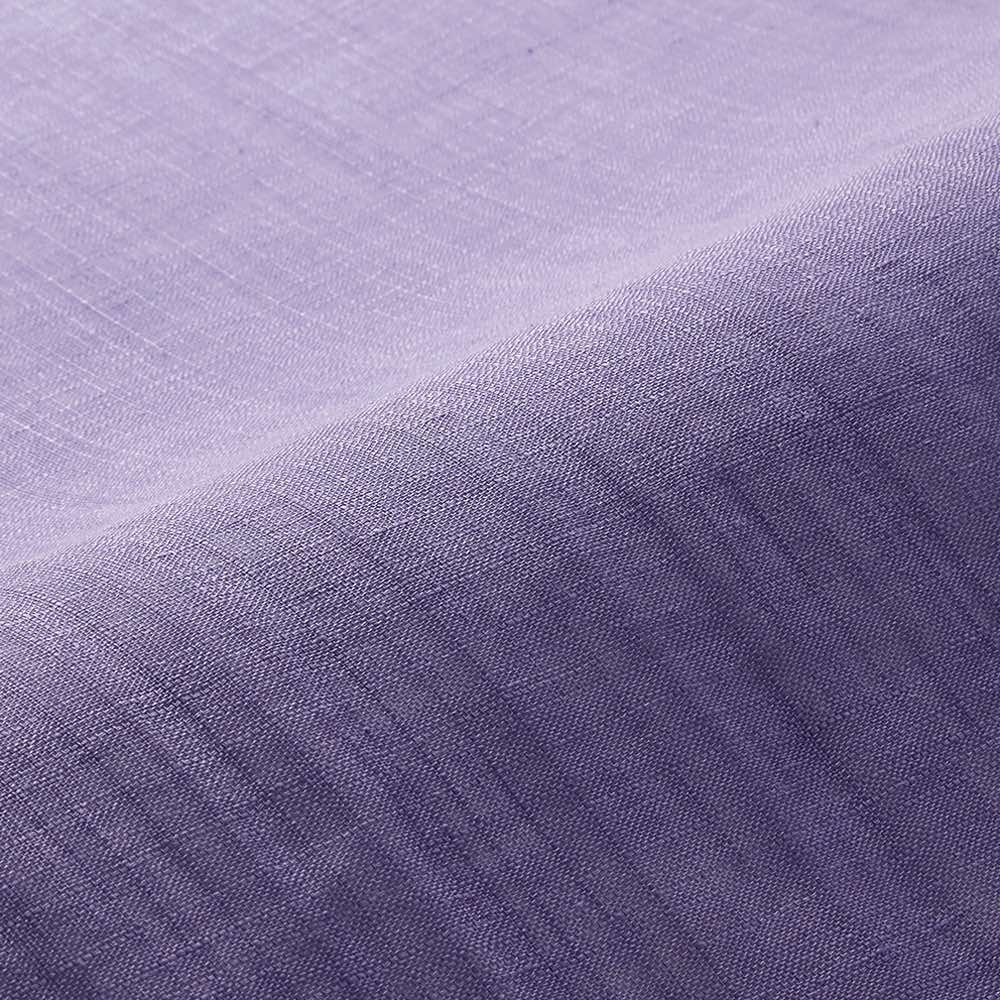 ≪約幅45 丈170cm≫ 京都のはごろものれん（1枚） のれん すだれ カーテン 550402