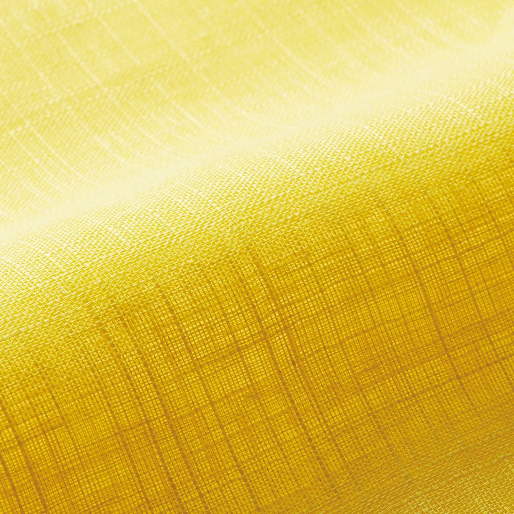 ≪約幅45 丈170cm≫ 京都のはごろものれん(1枚) のれん すだれ カーテン 550402