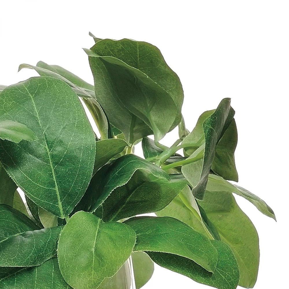 スノーボール ウォータートラペゾイド アートフラワー フェイク インテリアグリーン 人工観葉植物 造花 550806