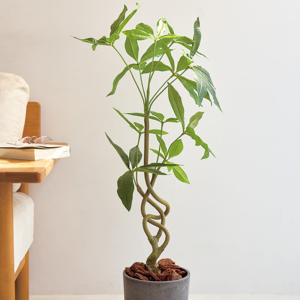 インテリアグリーン ツイスト パキラ 高さ95cm フェイク インテリアグリーン 人工観葉植物 造花 601702