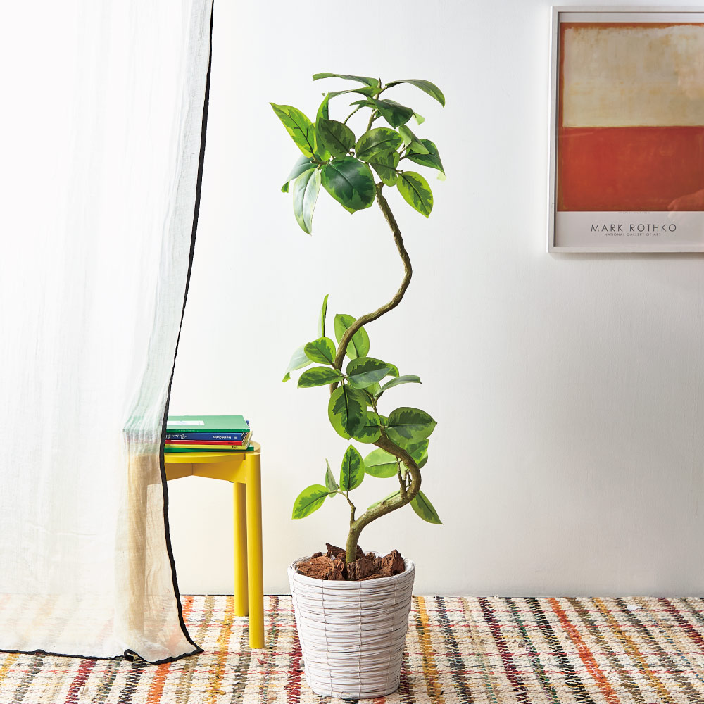 インテリアグリーン フィカス アルテシマ 高さ138cm フェイク インテリアグリーン 人工観葉植物 造花 601751