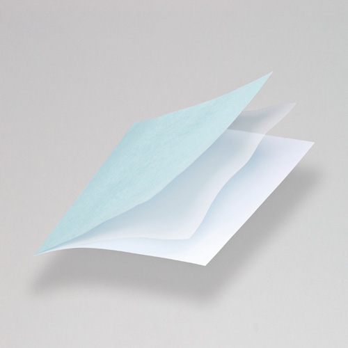 かづきれいこ デザインテープ 5枚入り(カットなしタイプ) 化粧品 メイクアップツール メイクアップ CA43N2